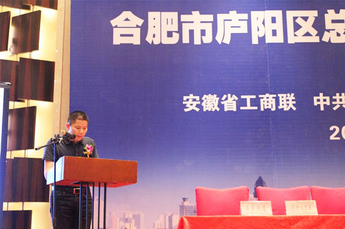 吴成月董事长参加庐阳区总部经济招商推介会