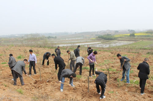 集团组织地产公司员工志愿者义务植树活动